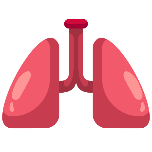 Shield check icon